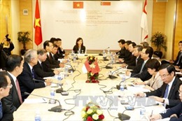Thủ tướng Nguyễn Tấn Dũng tọa đàm với doanh nghiệp Singapore